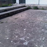 img03070-20130311-1221