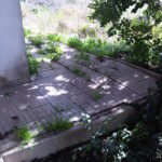 img03093-20130311-1230