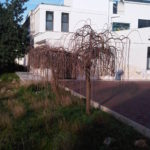 img06041-20140115-1155