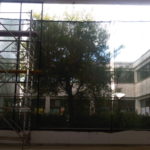 img06126-20140120-1752