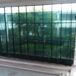 img06539-20140209-1559