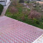 img06561-20140209-1606